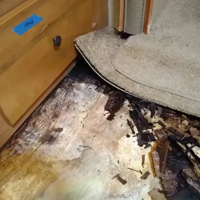 Wood Floor Water Damage in Northview, MI